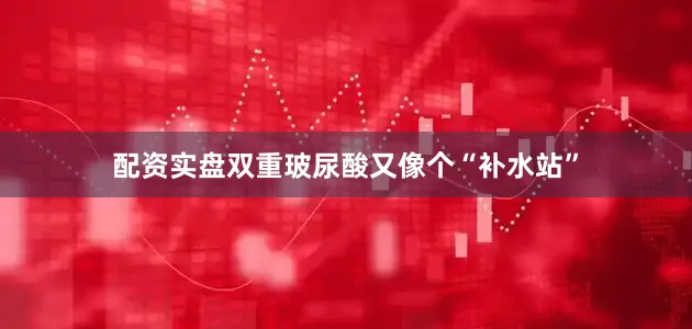 配资实盘双重玻尿酸又像个“补水站”