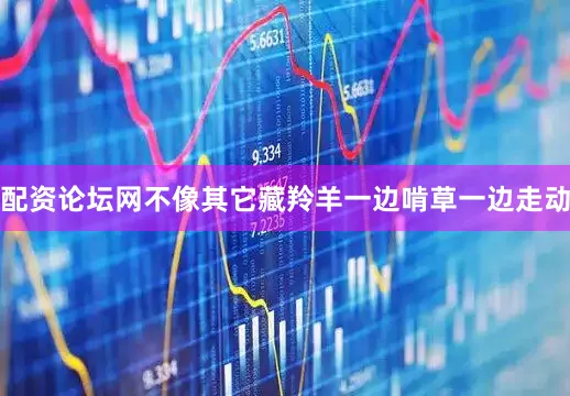 配资论坛网不像其它藏羚羊一边啃草一边走动