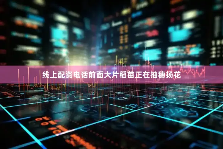 线上配资电话前面大片稻苗正在抽穗扬花
