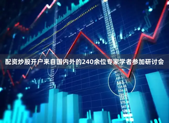 配资炒股开户来自国内外的240余位专家学者参加研讨会